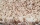 mulit color carpet