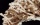 mulit color carpet